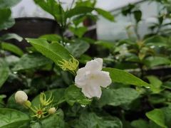 -小茶闲舍·观景商务茶馆(广州塔店)