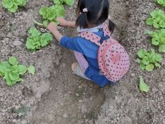 -前小桔亲子创意农场·草莓采摘·露营烧烤