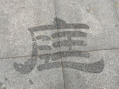 -湖南东洞庭湖国家级自然保护区