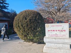 -德顺源·非遗烧麦·老菜(大观园店)