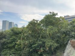 -上海首尔丽格医疗美容医院