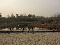 -东郊湿地公园