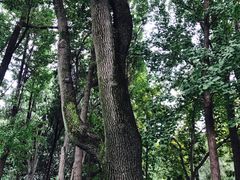 -汇龙潭