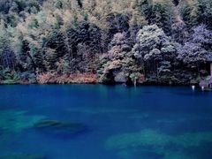 -祁门牯牛降观音堂风景区