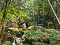 -藏龙百瀑风景区