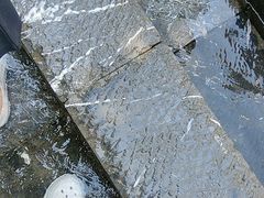 -石台牯牛降景区