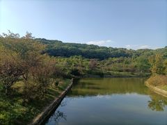 -苏州上方山国家森林公园