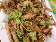 -正宗天津烧麦馆(柳州路店)