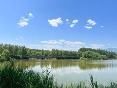 -翠湖国家城市湿地公园