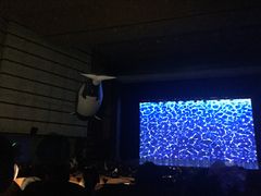 -广州蓓蕾剧院