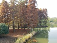 -梁鸿国家湿地公园