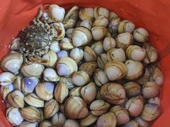 -启东黄金海滩景区