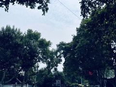 -刘长兴(逸仙桥店)