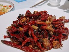 川味辣子鸡-中发源·清真餐厅(南油店)