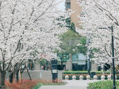 -新天地活力PARK