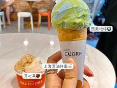 燕麦地球-Dal Cuore 达可芮冰淇淋(陕西北路店)