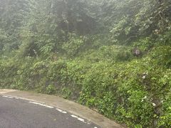 -太阳湾风景区