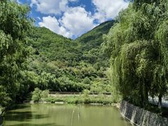 -大水川景区