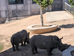 -西霞口神雕山野生动物世界
