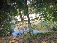 -成都中医药大学(温江校区)