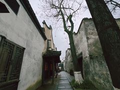 -乌镇景区