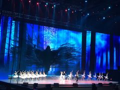 -宝能国际体育演艺中心