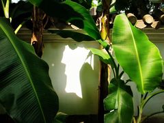 -同庆堂(解放北路店)