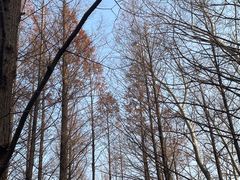 -白水寺森林公园