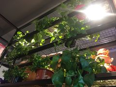 -苗小坛酸汤鱼(酒仙桥店)