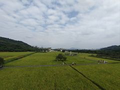 -风云岭森林公园
