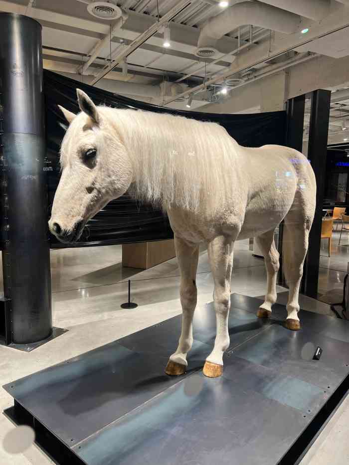 gentle monster(haus shanghai店)