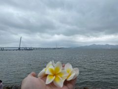 -深圳湾公园(南山区)