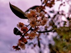 -贵阳市花溪国家城市湿地公园