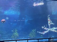 -泉城欧乐堡海洋极地世界