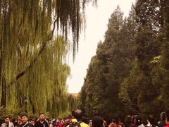 -东华门大街小区