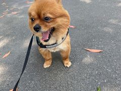 -佳雯宠物医院(金华南路分院)