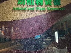 -房山世界地质公园博物馆