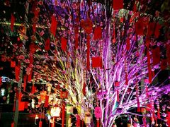 -上海浦东嘉里大酒店