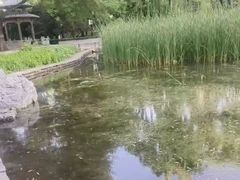 -玲珑塔公园