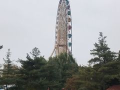 景点-沈阳南湖公园