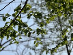 -白水寺森林公园