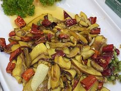 -原林野山菌火锅·炒菌(关上野生菌一条街店)