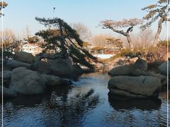 -罗红摄影艺术馆