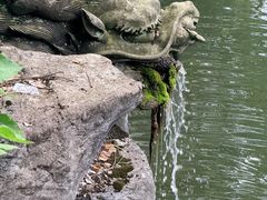 -忠山公园