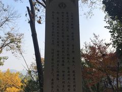 -韬光茶庵