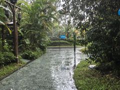 -碧桂园润杨溪谷温泉酒店