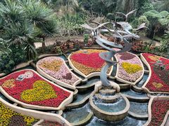 -南山植物园