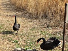 -朝阳公园