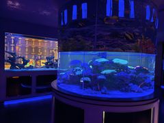 -上和臻品中国菜(花园街店)