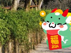 -南山植物园
